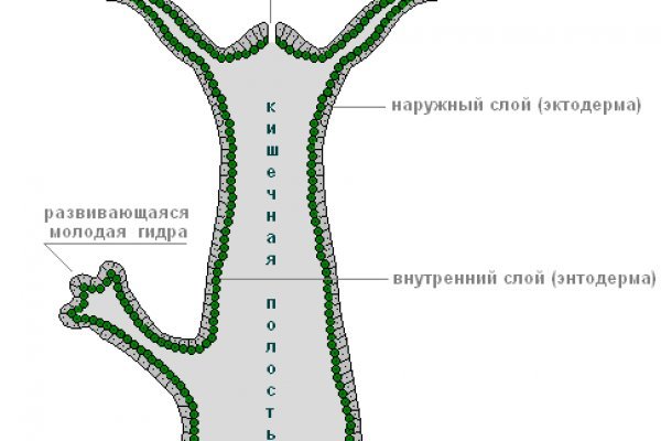 Регистрация кракен