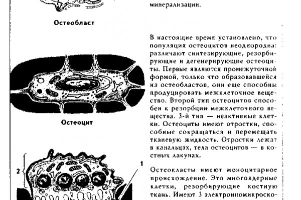 Каталог онион сайтов